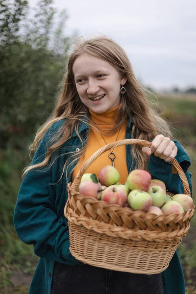 girl and basket  with juicy apples in the garden. aesthetics of rural lif