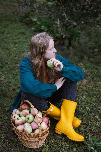 Κορίτσι Και Καλάθι Ζουμερά Μήλα Στον Κήπο Αισθητική Της Αγροτικής — Φωτογραφία Αρχείου