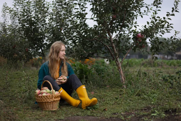Συγκομιδή Μήλων Και Αγροτική Αισθητική Όμορφο Κορίτσι Ένα Καλάθι Μήλα — Φωτογραφία Αρχείου