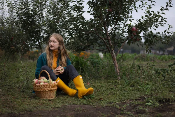 apple harvest and rural aesthetic. beautiful girl with a basket of apples in the background of the garde