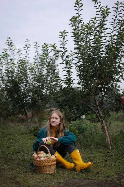 apple harvest and rural aesthetic. beautiful girl with a basket of apples in the background of the garde