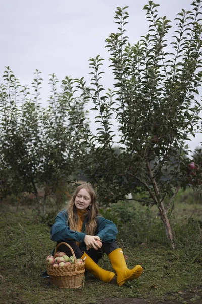 苹果收获和乡村美感 一个漂亮的姑娘 背着一篮子苹果 站在台阶的后面 — 图库照片