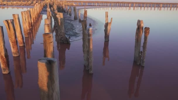 Ξύλινοι Πυλώνες Του Εγκαταλελειμμένου Εργοστασίου Εξόρυξης Αλατιού Μια Ροζ Λίμνη — Αρχείο Βίντεο