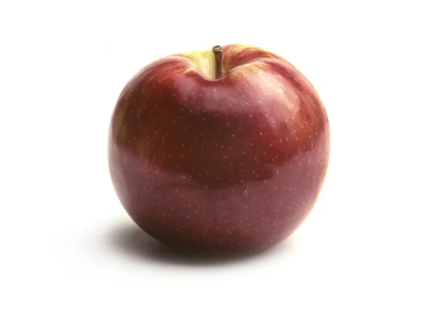 Single MacIntosh Apple on White — Stock Photo, Image