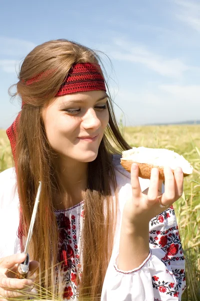 Lunch in the field — Stock Photo, Image