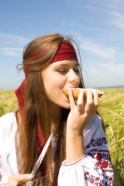 Lunch in the field — Stock Photo, Image