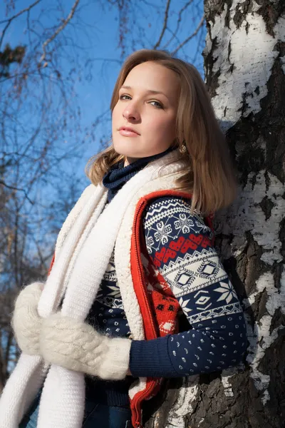 Retrato de invierno —  Fotos de Stock