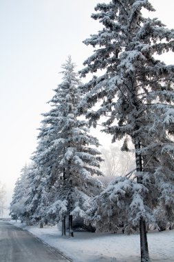 karla kaplı ıssız sokakta