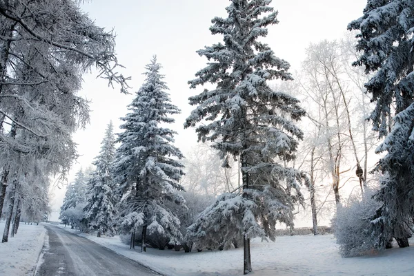 Karla kaplı ıssız sokakta — Stok fotoğraf