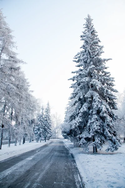 Snow-covered desolate alley — Stock Photo, Image