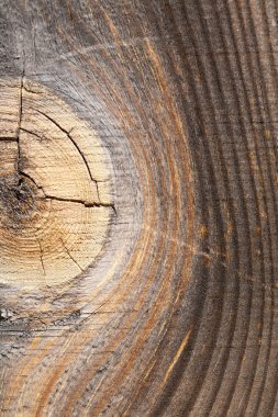 eski yönetim kurulu