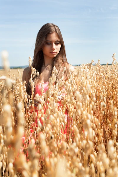 Krásná mladá dívka na zralé pole ovsa — Stock fotografie