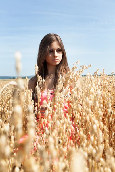 Young beautiful girl on a ripe field of oats — Stock Photo, Image