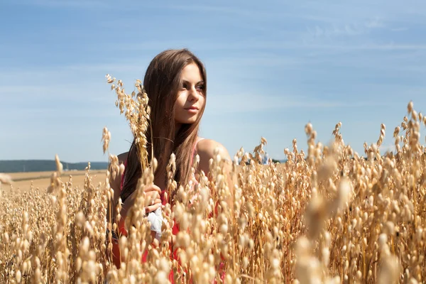 Young beautiful girl on a ripe field of oats — Stock Photo, Image