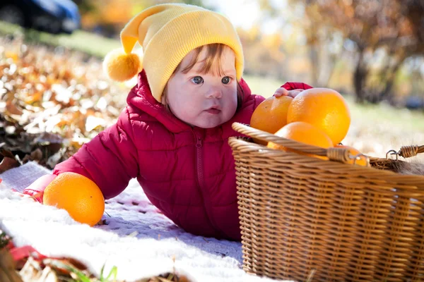 Un enfant en pique-nique. automne — Photo