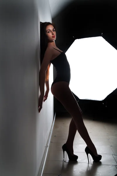 Studio portrait of a young brunette — Stock Photo, Image