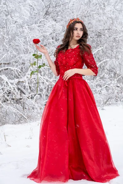 Junges Mädchen Rotem Kleid Und Mit Rose Posiert Während Des — Stockfoto