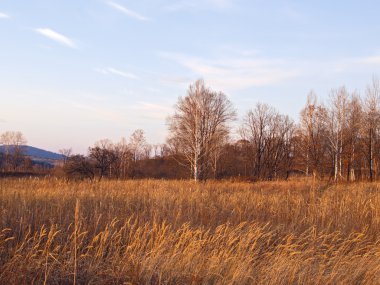 ahşap eşiğinde sonbahar manzarası