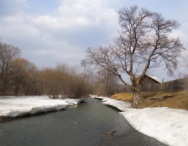 La dernière glace sur la côte du ruisseau — Photo