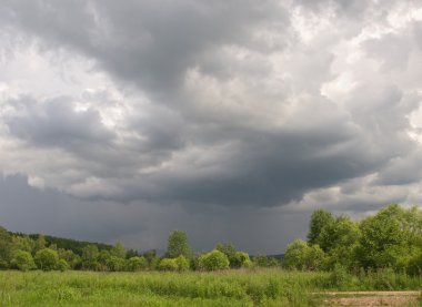 Yaz çayır bulutlu gökyüzü altında
