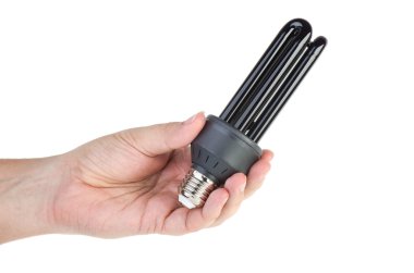 Black (UV) fluorescent lamp with e27 base in hand clipart