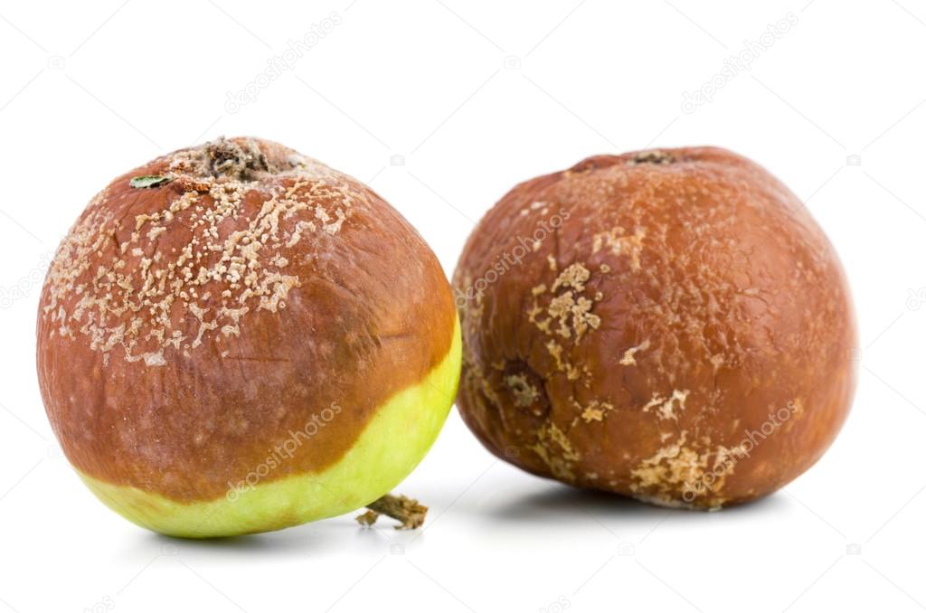 Two rotten apples