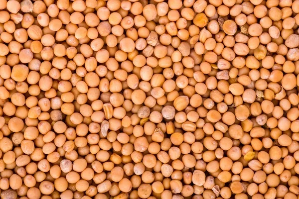 Yellow mustard seeds — Stock Photo, Image