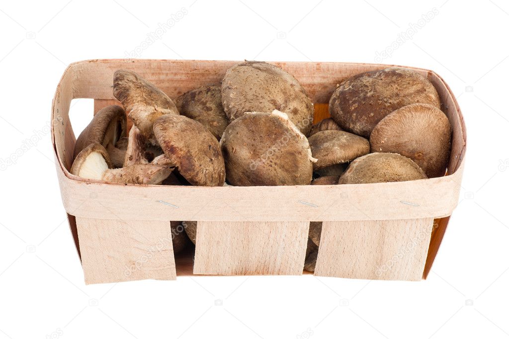 Wooden basket with shiitake mushrooms