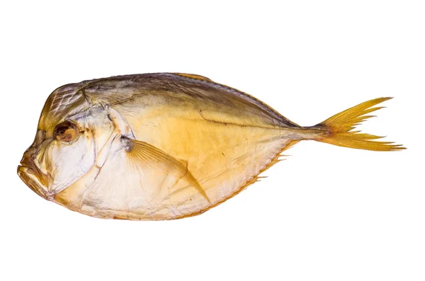 Smoked atlantic moonfish — Stock Photo, Image