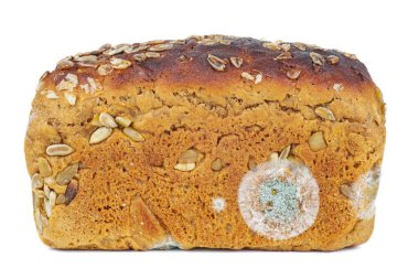 Beyaz arka planda izole edilmiş küflü çavdar ekmeği.
