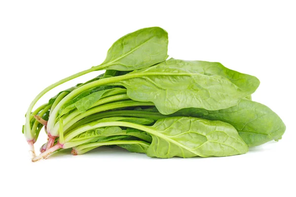 Bunch Green Spinach Isolated White Background — 图库照片