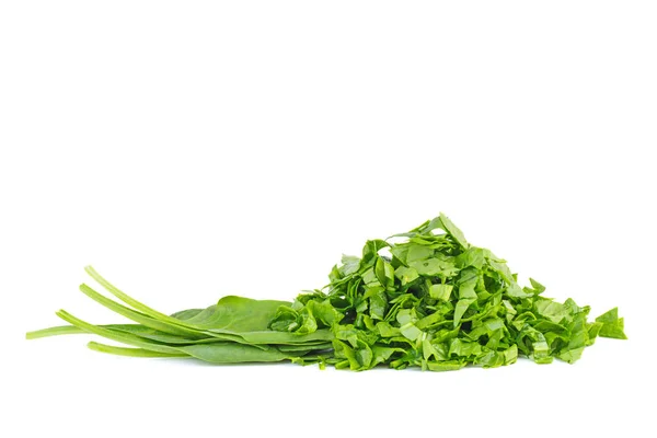 Chopped Spinach Isolated White Background — Stock Photo, Image