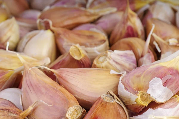 食物背景 ニンニクのクローブ 浅いDof 画像の下側の焦点点 — ストック写真