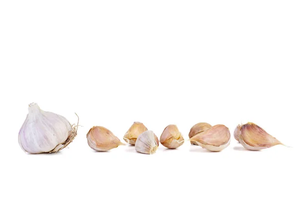 Fresh Garlic Bulb Few Cloves Isolated White Background — Stockfoto