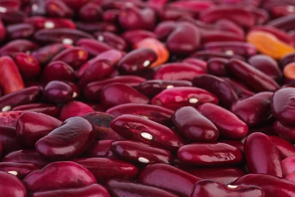 Abstract Background Purple Legume Beans Shallow Dof Focus Point Lower — Stock Photo, Image