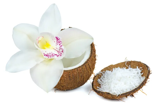 Noix Coco Entière Fleur Orchidée Râpée Blanche Sur Fond Blanc — Photo