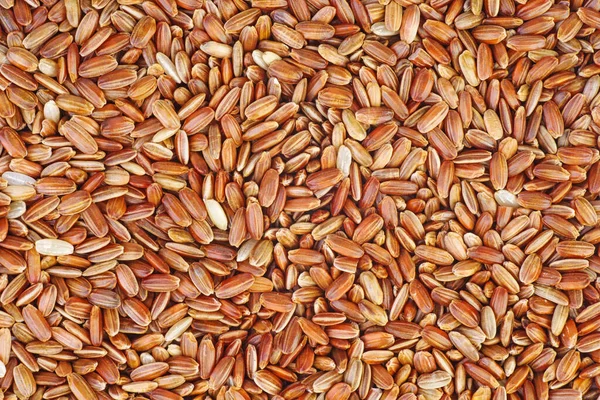 Fond Alimentaire Riz Rouge Séché — Photo