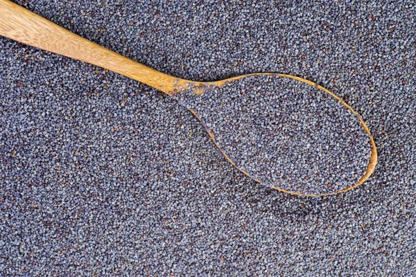 Poppy Seeds Wooden Spoon — Stock Photo, Image