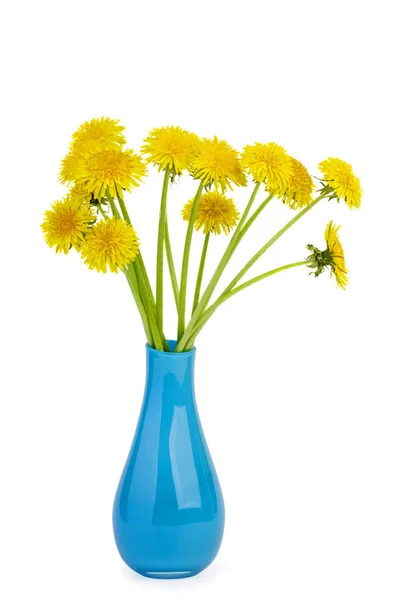 Yellow Dandelions Blue Ceramic Vase Isolated White Background — Stock Photo, Image