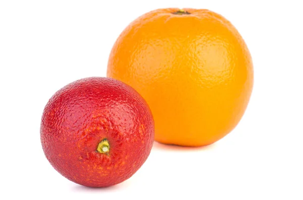 Narancsok Különböző Fajtájú Elszigetelt Fehér Alapon Fókuszpont Középső Narancs — Stock Fotó