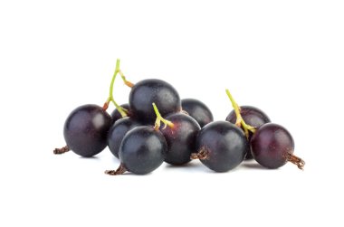 Gooseberry and black currant hybrid (Josta) isolated on white background clipart