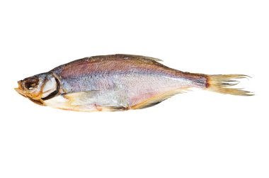 Beyaz arka planda doğal olarak kurutulmuş vimba (zanthe) balığı