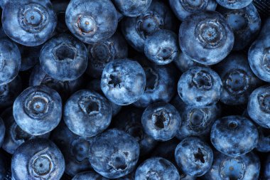 Arka tarafta taze bataklık böğürtlenleri