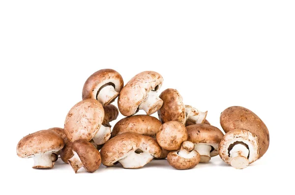 Portobello Funghi Isolati Sfondo Bianco — Foto Stock