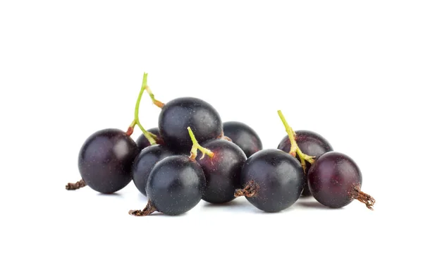 果莓和黑醋栗杂交种 Josta 在白色背景下分离 — 图库照片