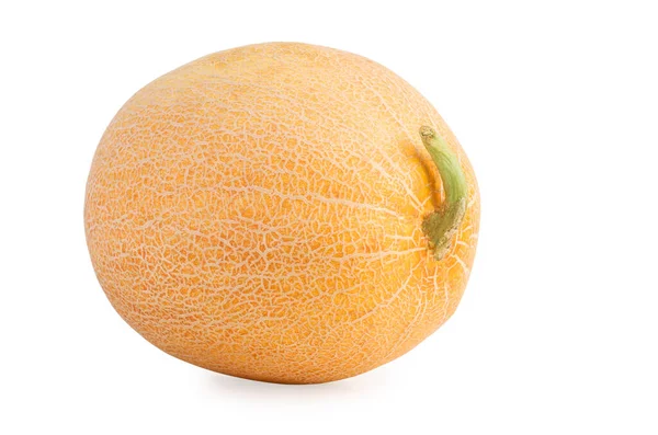 Melone Giallo Isolato Fondo Bianco — Foto Stock