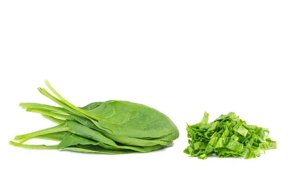 Chopped Spinach Isolated White Background — Stock Photo, Image