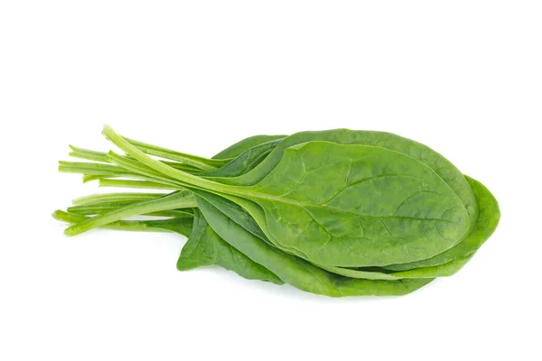 Bündel Grüner Spinat Isoliert Auf Weißem Hintergrund — Stockfoto