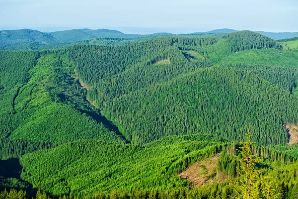 Bewaldete Berge Einer Malerischen Landschaft — Stockfoto