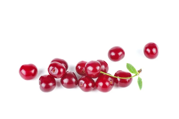 Cerezas Silvestres Aisladas Sobre Fondo Blanco — Foto de Stock